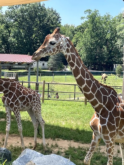 The Maryland Zoo in Baltimore photo 3