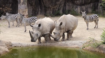 The Maryland Zoo in Baltimore photo 2
