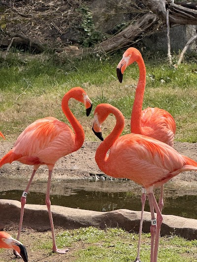 The Maryland Zoo in Baltimore photo 4