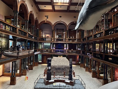 Bishop Museum photo 2