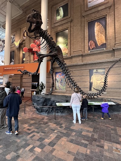 Denver Museum of Nature & Science photo 4