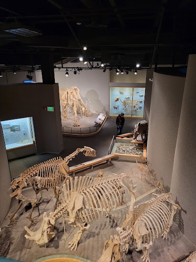Denver Museum of Nature & Science photo 3