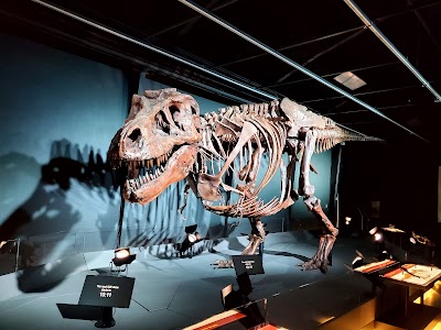 Discovery Center of Idaho photo 4