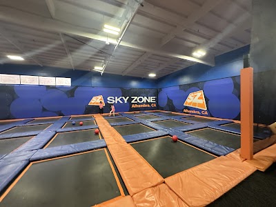 Sky Zone Trampoline Park photo 3