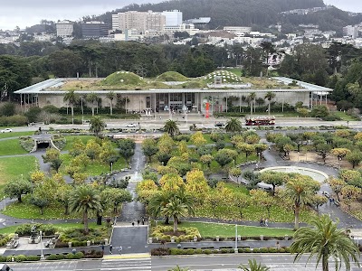 de Young Museum photo 3
