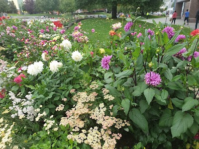 Town Square Park photo 4