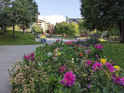 Town Square Park photo 5