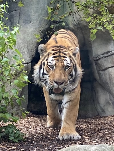 Indianapolis Zoo photo 4