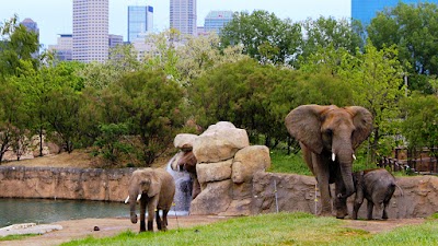 Indianapolis Zoo photo 5