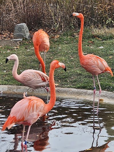Indianapolis Zoo photo 3