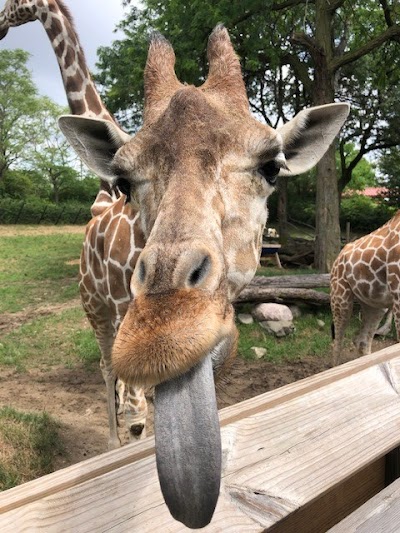 Indianapolis Zoo photo 2