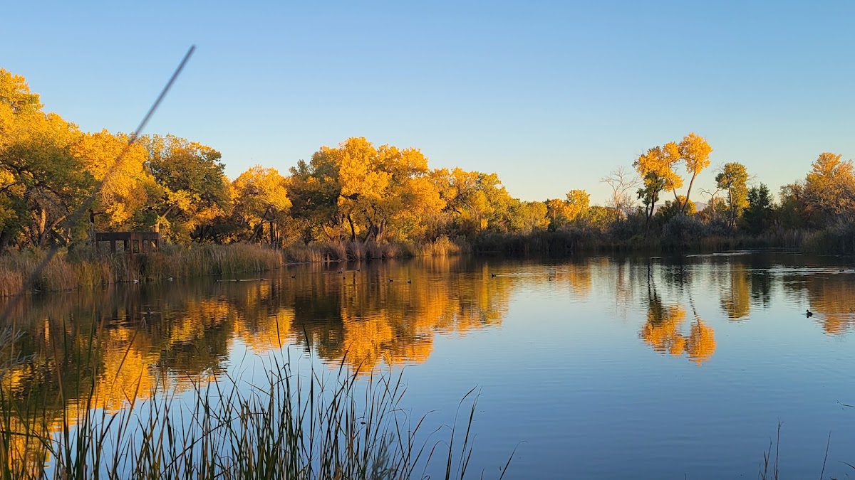 Rio Grande Park
