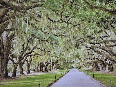 Charleston Visitor Center photo 5