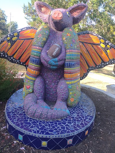 Ricky Guerrero Splash Pad photo 4