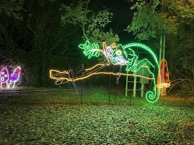 Carousel Gardens Amusement Park photo 3