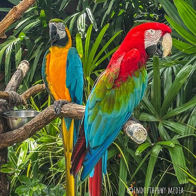 Discovery Cove photo 4