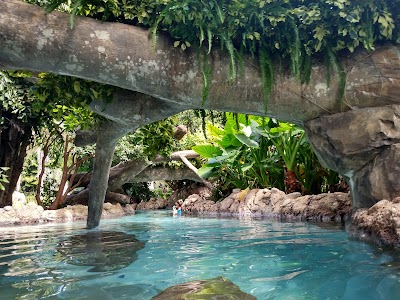 Discovery Cove photo 3