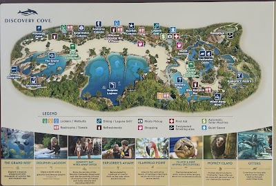 Discovery Cove photo 2