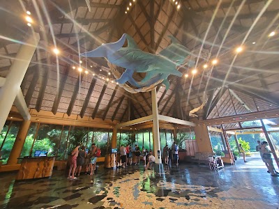 Discovery Cove photo 5