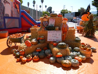 ABC Tree Farms & Pick of the Patch Pumpkins ECR photo 2
