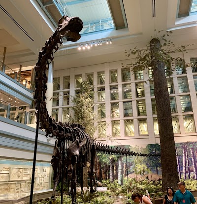 Carnegie Museum of Art photo 3