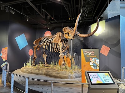 Indiana State Museum photo 4