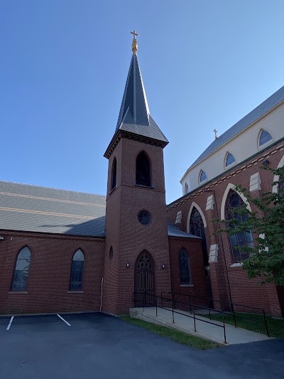 Cathedral of the Immaculate Conception photo 3