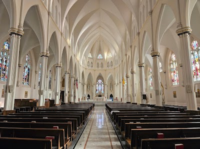 Cathedral of the Immaculate Conception photo 2