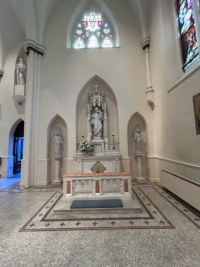 Cathedral of the Immaculate Conception photo 4