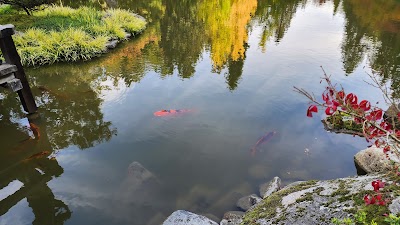 Seattle Japanese Garden photo 4