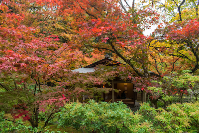 Seattle Japanese Garden photo 5