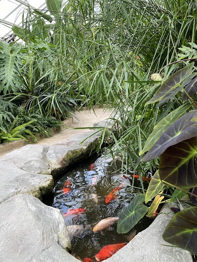 Rawlings Conservatory photo 2