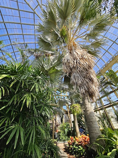 Rawlings Conservatory photo 4