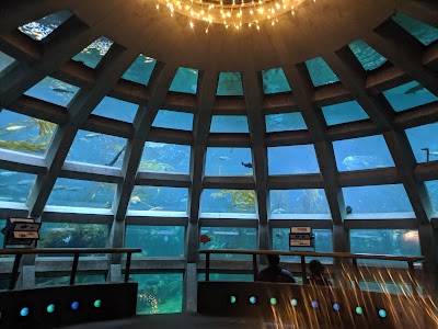 Seattle Aquarium photo 2