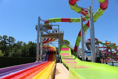 The Funplex photo 5