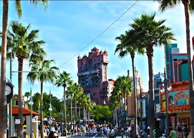 Disney's Hollywood Studios photo 3