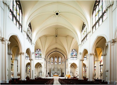 Cathedral Basilica of the Immaculate Conception photo 2