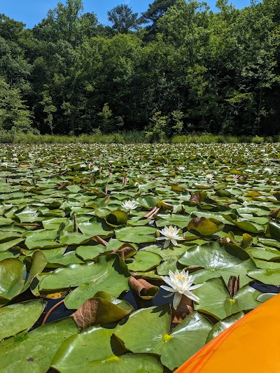 Pocahontas Aquatic Center photo 2