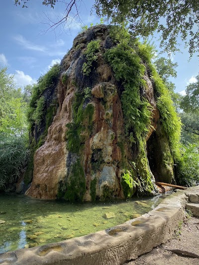 San Pedro Springs Park photo 5