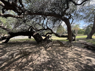 San Pedro Springs Park photo 4