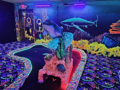 Zap Zone - Taylor photo 2