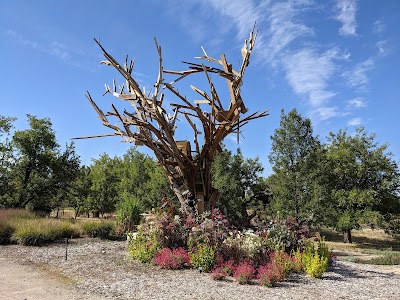 Idaho Botanical Garden photo 5