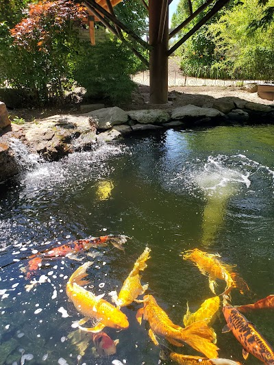 Idaho Botanical Garden photo 4