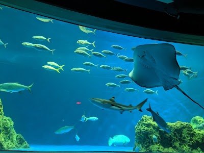 Arizona Boardwalk photo 5