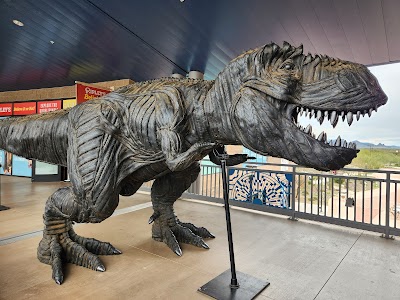 Arizona Boardwalk photo 4