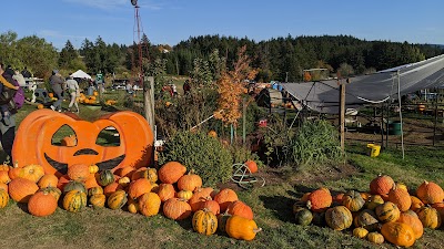 Plumper Farms photo 2