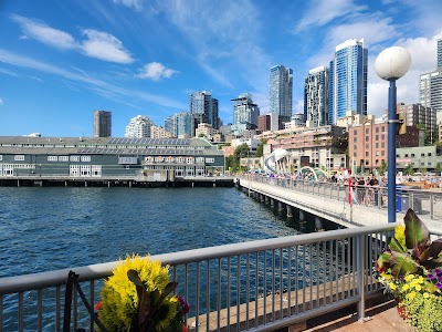 The Seattle Great Wheel photo 3