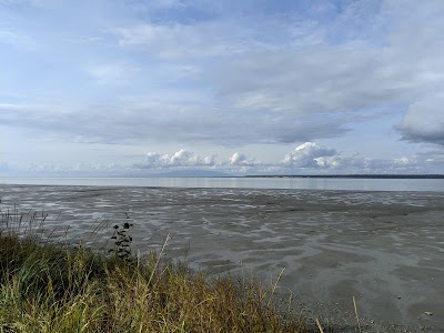Lyn Ary Park photo 3