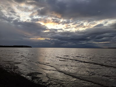 Lyn Ary Park photo 4