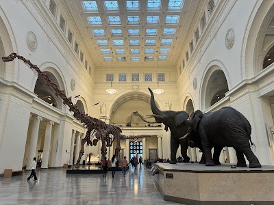 Field Museum photo 2